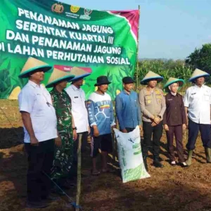 Program_Ketahanan_Pangan_Nasional_Diresmikan_di_Balapulang_Tegal Program Ketahanan Pangan Nasional Diresmikan di Balapulang Tegal