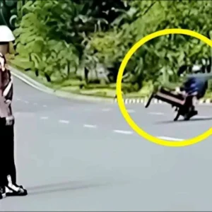 Viral Pengendara Becak Motor Tunjukkan Aksi Freestyle Didepan Polisi Viral! Pengendara Becak Motor Tunjukkan Aksi Freestyle Didepan Polisi