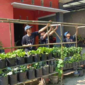 Mahasiswa KKN Unisba Blitar Bantu Bikin Lanjaran Tanaman Sayuran di KWT Sekar Rahayu Mahasiswa KKN Unisba Blitar Bantu Bikin Lanjaran Tanaman Sayuran di KWT Sekar Rahayu