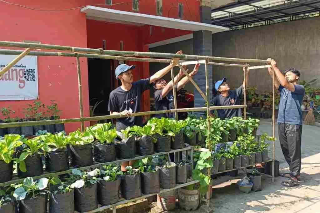 Mahasiswa KKN Unisba Blitar Bantu Bikin Lanjaran Tanaman Sayuran di KWT Sekar Rahayu