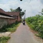 Dana Desa 2025: Pemdes Bendo Blitar Selesaikan Perbaikan Jalan Aspal