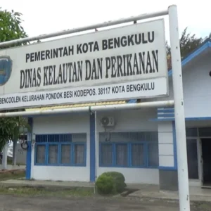 Pemkot Bengkulu Diduga Abaikan Aturan ASN, Kadis DKP Tersangka Tabrak Lari Masih Berstatus Aktif