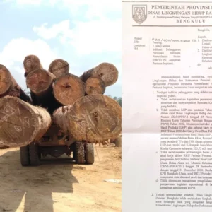 KLHK Pusat Lamban Tindak Pelanggaran Hutan PT API, Laporan Sudah Ada Sejak 2023