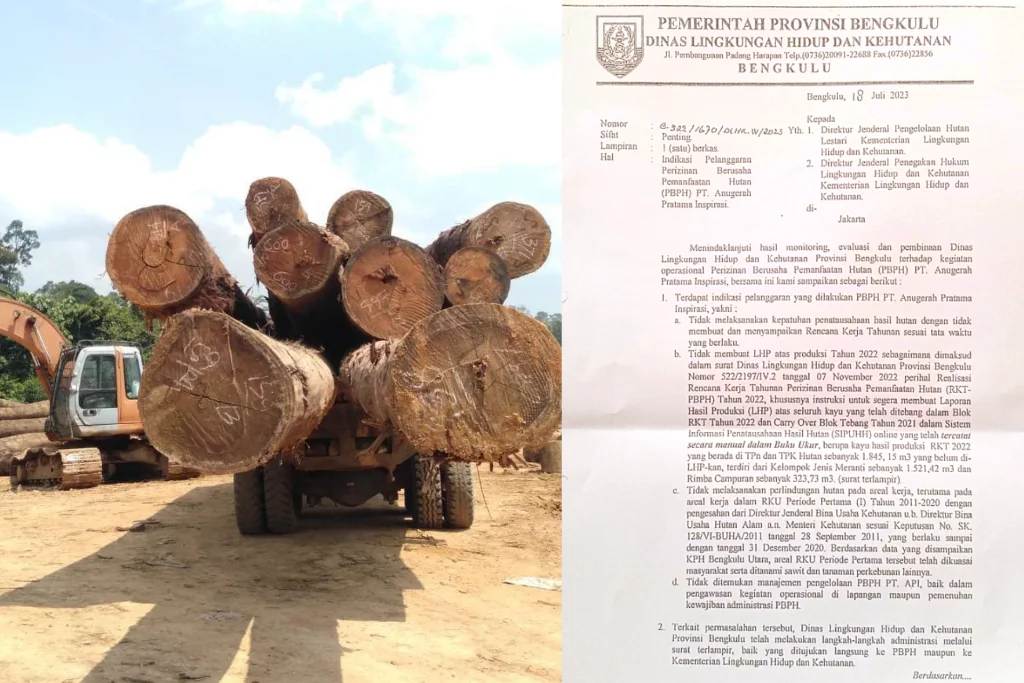 KLHK Pusat Lamban Tindak Pelanggaran Hutan PT API, Laporan Sudah Ada Sejak 2023