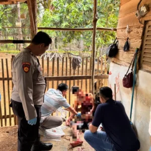 Pembunuhan Tragis Anak Tiri Guncang Bengkulu Tengah, Ayah Tiri Diburu