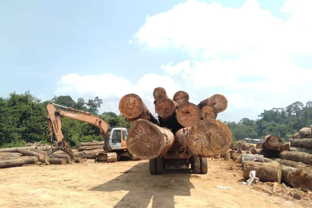 Satgas Gabungan Ungkap Pelanggaran Kehutanan PT API dan PT BAT di Bentang Alam Seblat