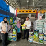 Harga Beras Premium Bengkulu Melonjak di Atas HET Awal Desember 2025