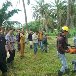 Pemprov Bengkulu Minta PT Bio Bengkulu Tengah Tebang Sawit Mereka