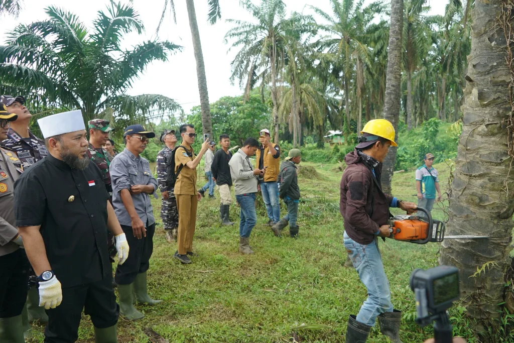 Pemprov Bengkulu Minta PT Bio Bengkulu Tengah Tebang Sawit Mereka
