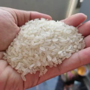 80 Persen Warga Karimun Minati Beras Pera, Bulog Diminta Amankan Stok Premium 80 Persen Warga Karimun Minati Beras Pera, Bulog Diminta Amankan Stok Premium