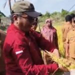 Dispangtan Sebut Karimun Perlu 3,5 Ribu Hektare Lahan Untuk Swasembada Beras