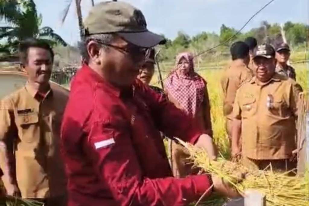 Dispangtan Sebut Karimun Perlu 3,5 Ribu Hektare Lahan Untuk Swasembada Beras