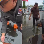 Lazimnya Air dari Jalan Masuk ke Got, di Kota Bengkulu Malah Terbalik