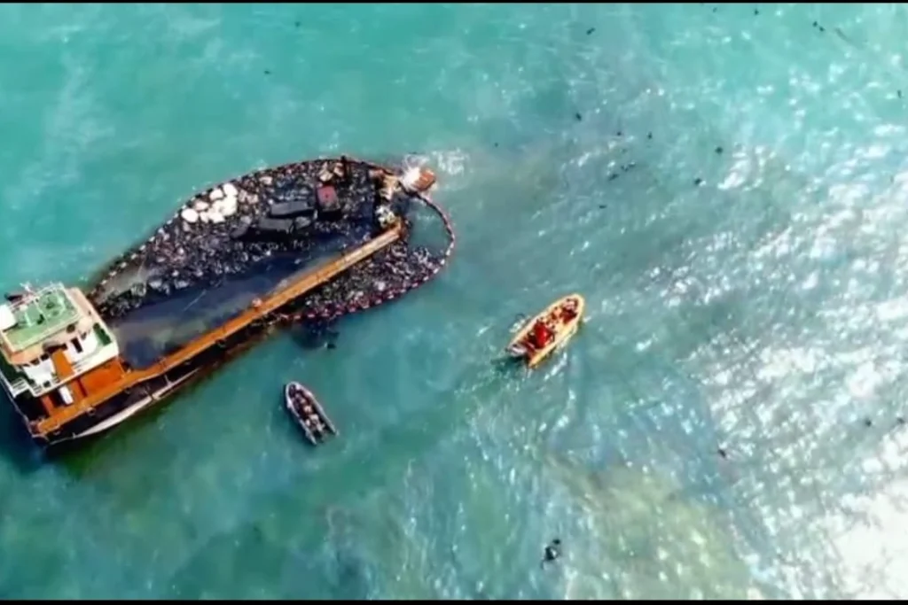 Pantai Bukit Dangas Berubah Jadi Lautan Limbah, Ancaman Serius Bagi Lingkungan Batam
