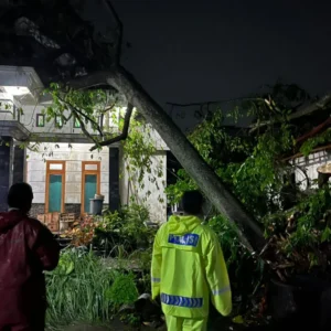 Pasca Pohon Tumbang, Polres Blitar Kota Imbau Warga Waspada Cuaca Ekstrem