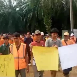 Perjuangan Pemanen PT SIL Seluma Membuahkan Hasil: Upah Panen Disepakati Naik Perjuangan Pemanen PT SIL Seluma Membuahkan Hasil: Upah Panen Disepakati Naik