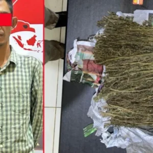 Polres Lebong Tangkap Pengedar Narkotika Sabu dan Ganja di Lebong Selatan