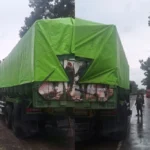 Stok Kritis 3 Hari! PLN Minta Gubernur Sumsel Buka Jalan Truk Batubara Menuju PLTU Bengkulu