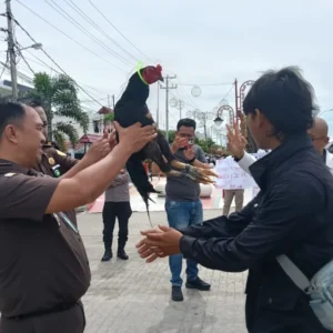 Ayam Jago Jadi Simbol Tantangan dalam Unjuk Rasa di depan Kejati Bengkulu