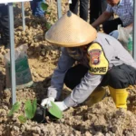 Dukungan Ketahanan Pangan: Polres Mukomuko Gelar Penanaman Uwi Ungu