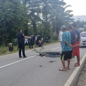 Kecelakaan Maut di Talang Dantuk Seluma: Pegawai PN Tais Tewas di Tempat