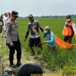 Polres Majalengka Selidiki Penemuan Mayat Membusuk di Sawah Jatitujuh