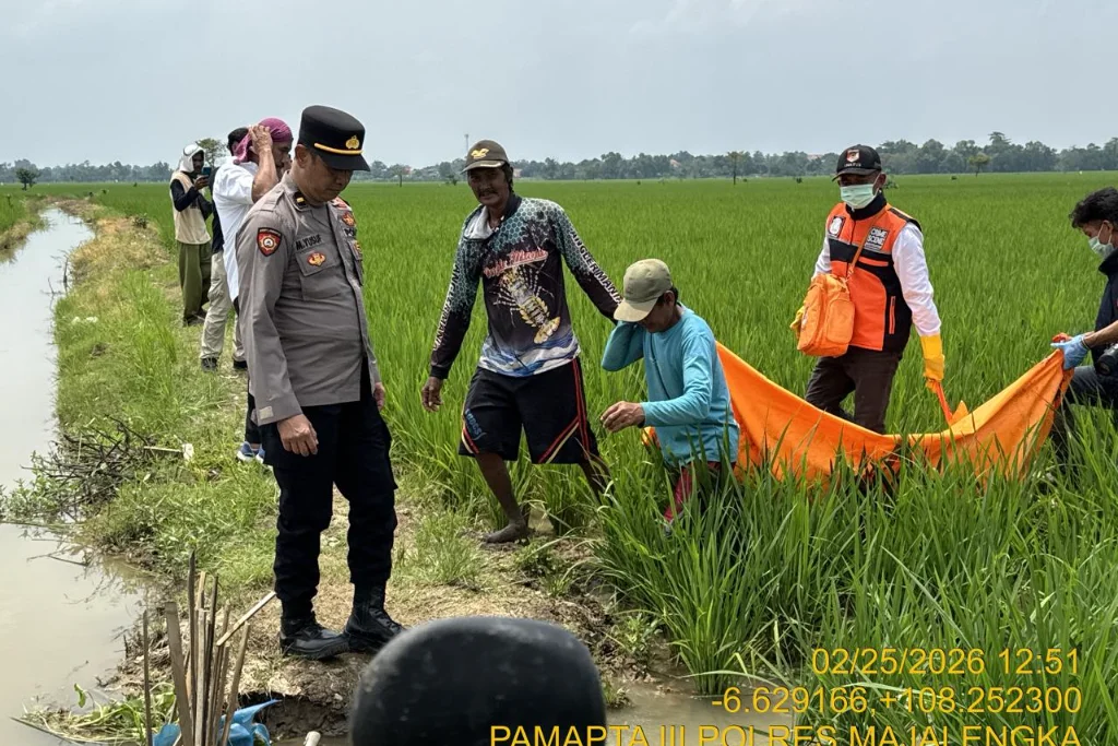 Polres Majalengka Selidiki Penemuan Mayat Membusuk di Sawah Jatitujuh