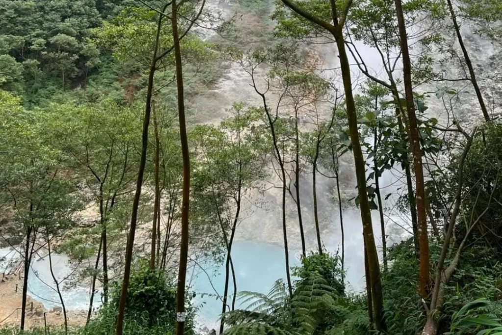 WALHI Bengkulu Tolak Proyek PLTP Kepahiang: Ancaman Bagi Jantung Bukit Barisan