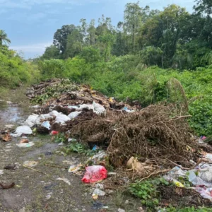 Warga Resah, Sampah Menggunung Tutupi Badan Jalan Bungamas–Sembayat