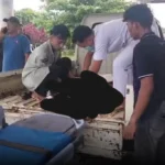 Ditusuk 5 Kali, Pedagang Es Krim di Kepahiang Tewas: Ternyata Ini Pemicunya