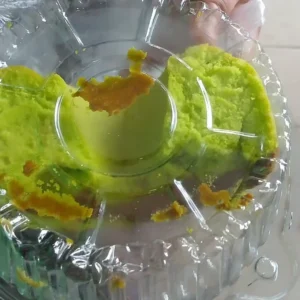 Menu MBG di Kota Bengkulu: Siswa Dapat Sepotong Roti Bolu