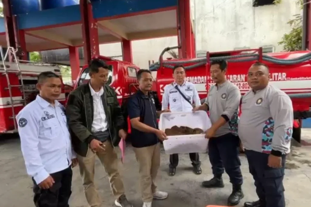 PKPH Blitar Bersama BKSDA Sukses Lepas Liarkan Trenggiling ke Habitat Asli