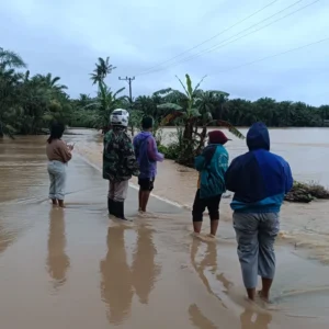 Banjir Rendam 5 Kecamatan di Seluma, 835 KK Terdampak