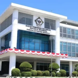 BPK Audit LKPD Bengkulu Tengah, Misteri ‘Hilangnya’ TPP ASN 2025 Jadi Sorotan?