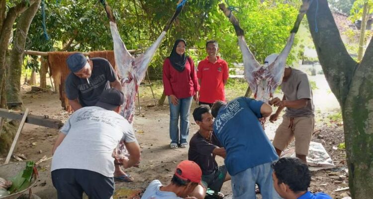 Kades Gaprang Asharul Fahruda (kaos warna)dan Drh Ovi Prudenta usai monitoring hewan qurban