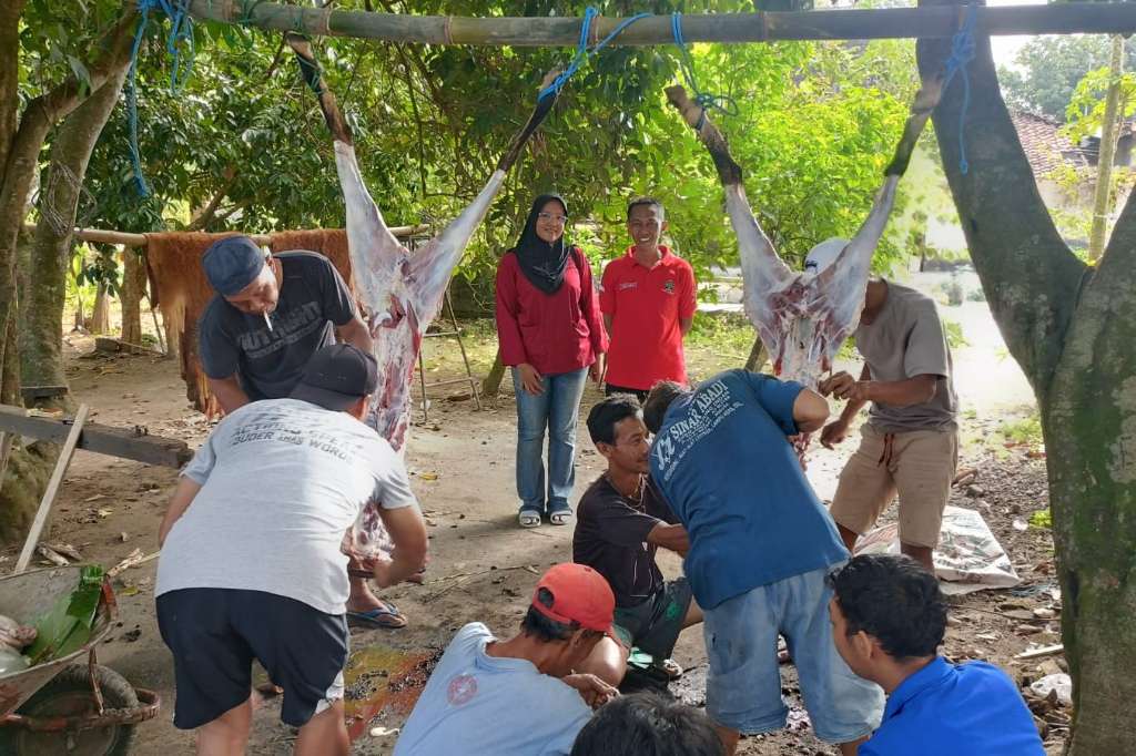 Kades Gaprang Asharul Fahruda (kaos warna)dan Drh Ovi Prudenta usai monitoring hewan qurban