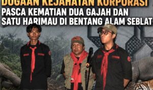 Mahupala UNIB Desak Usut Kejahatan Korporasi di Balik Kematian Gajah dan Harimau Seblat