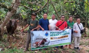 H. Romo Berbagi Kurban Melalui PT TME Site Lebong
