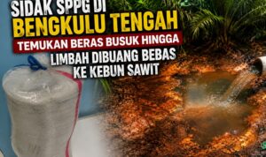 Sidak SPPG di Bengkulu Tengah Temukan Beras Busuk Hingga Limbah Dibuang Bebas ke Kebun Sawit Sidak SPPG di Bengkulu Tengah Temukan Beras Busuk Hingga Limbah Dibuang Bebas ke Kebun Sawit