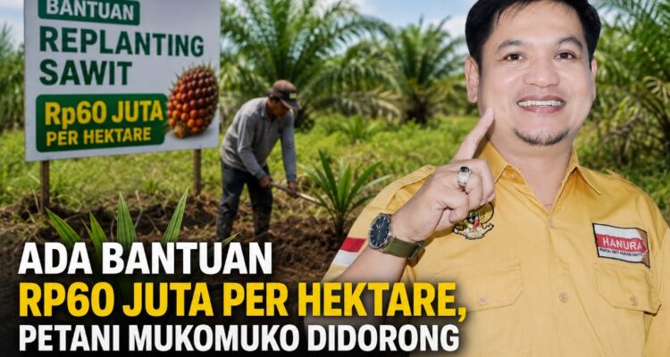 Ada Bantuan Rp60 Juta Per Hektare, Petani Mukomuko Didorong Ikut Replanting Sawit