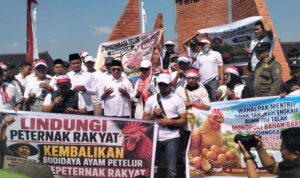 Bupati Blitar Bersama Wabup Dorong Pemerintah Pusat Intervensi dan Stabilkan Harga Telur Bupati Blitar Bersama Wabup Dorong Pemerintah Pusat Intervensi dan Stabilkan Harga Telur