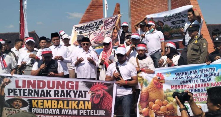 Bupati Blitar Bersama Wabup Dorong Pemerintah Pusat Intervensi dan Stabilkan Harga Telur Bupati Blitar Bersama Wabup Dorong Pemerintah Pusat Intervensi dan Stabilkan Harga Telur