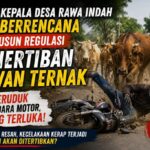 Mengancam Keselamatan Warga, Kades Rawa Indah Segera Susun Regulasi Penertiban Hewan Ternak