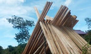 Sengketa Lahan Taman Buru Semidang Bukit Kabu, Antara Fungsi Konservasi BKSDA dan Hak Historis Desa