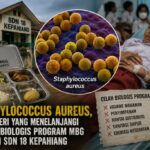 Staphylococcus Aureus, Bakteri yang Menelanjangi Celah Biologis Program MBG di SDN 18 Kepahiang