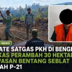 Update Satgas PKH di Bengkulu, Berkas Perambah 30 Hektar Kawasan Bentang Seblat Sudah P-21