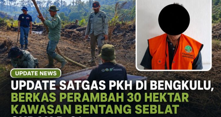 Update Satgas PKH di Bengkulu, Berkas Perambah 30 Hektar Kawasan Bentang Seblat Sudah P-21