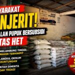 Wow! Harga Pupuk Urea Subsidi di Seluma Rp120 Ribu per Karung, Distan Buka Suara