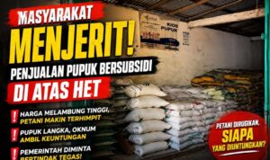 Wow! Harga Pupuk Urea Subsidi di Seluma Rp120 Ribu per Karung, Distan Buka Suara