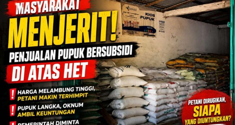 Wow Harga Pupuk Urea Subsidi di Seluma Rp120 Ribu per Karung, Distan Buka Suara Wow! Harga Pupuk Urea Subsidi di Seluma Rp120 Ribu per Karung, Distan Buka Suara